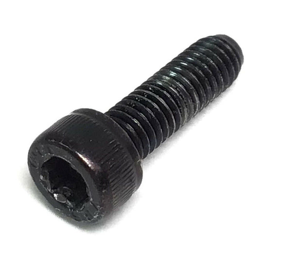 Lifespan E2i Elliptical Screw M6 -1.0 -20 mm-hydrafitnessparts