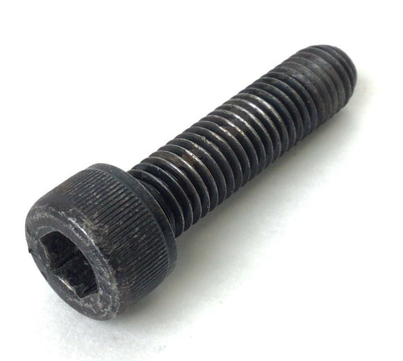 Lifespan E2i Elliptical Socket head Screw M10-1.5-40mm 5000000109-hydrafitnessparts