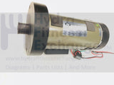 Lifespan tr4000i treadmill DC Drive Motor A2D06 Turdan-hydrafitnessparts