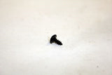 Matrix Fitness Treadmill Oval Tapping Screw 3 x 7L 004635-A-hydrafitnessparts