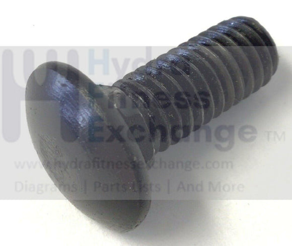 Matrix Horizon Vision Fitness Treadmill Motor Mount Screw 3/8