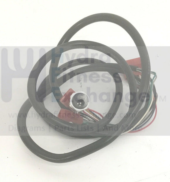 New FreeMotion HealthRider NordicTrack GX4.0 Recumbent Bike Main Wire Harness 244820-hydrafitnessparts