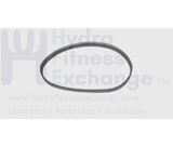 New Horizon AFG Vision Fitness Livestrong Treadmill Motor Drive Belt 19" Ribs 8 1000109550-hydrafitnessparts