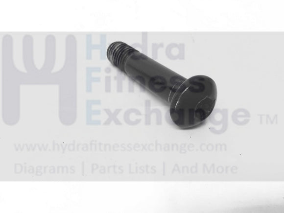 NordicTrack 12.9T NTEL712140 Elliptical Upper Body Leg Screw M10 X 45MM 275977-hydrafitnessparts