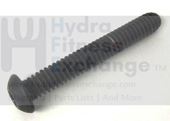 NordicTrack Epic FreeMotion Gold's Gym Treadmill Rear End Cap Screw 122794-hydrafitnessparts