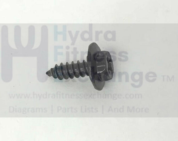 NordicTrack Epic FreeMotion Proform HealthRider Treadmill Screw 8 X 7/16