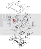 NordicTrack Gold's Gym Proform HealthRider Treadmill 3/8" X 1 3/4" Bolt 181980-hydrafitnessparts