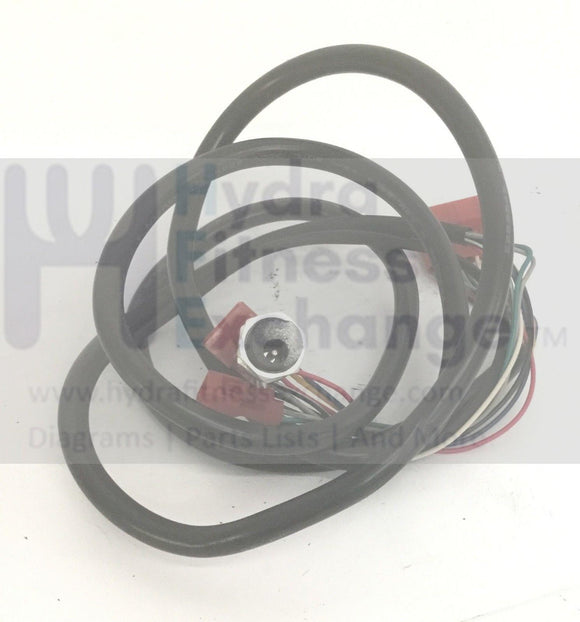 NordicTrack HealthRider Recumbent Bike Main Power Entry Wire Harness 55