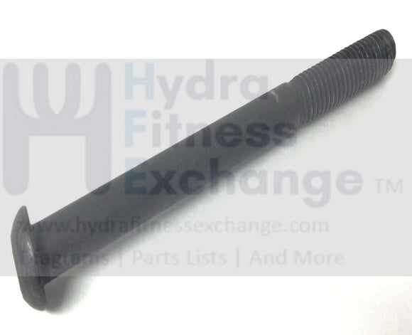 NordicTrack Icon Incline Trainer Treadmill Button Head Screw 3/8