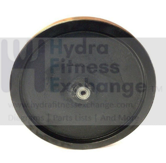 NordicTrack Proform Elliptical Magnetic Brake Flywheel with Bearing 210366-hydrafitnessparts