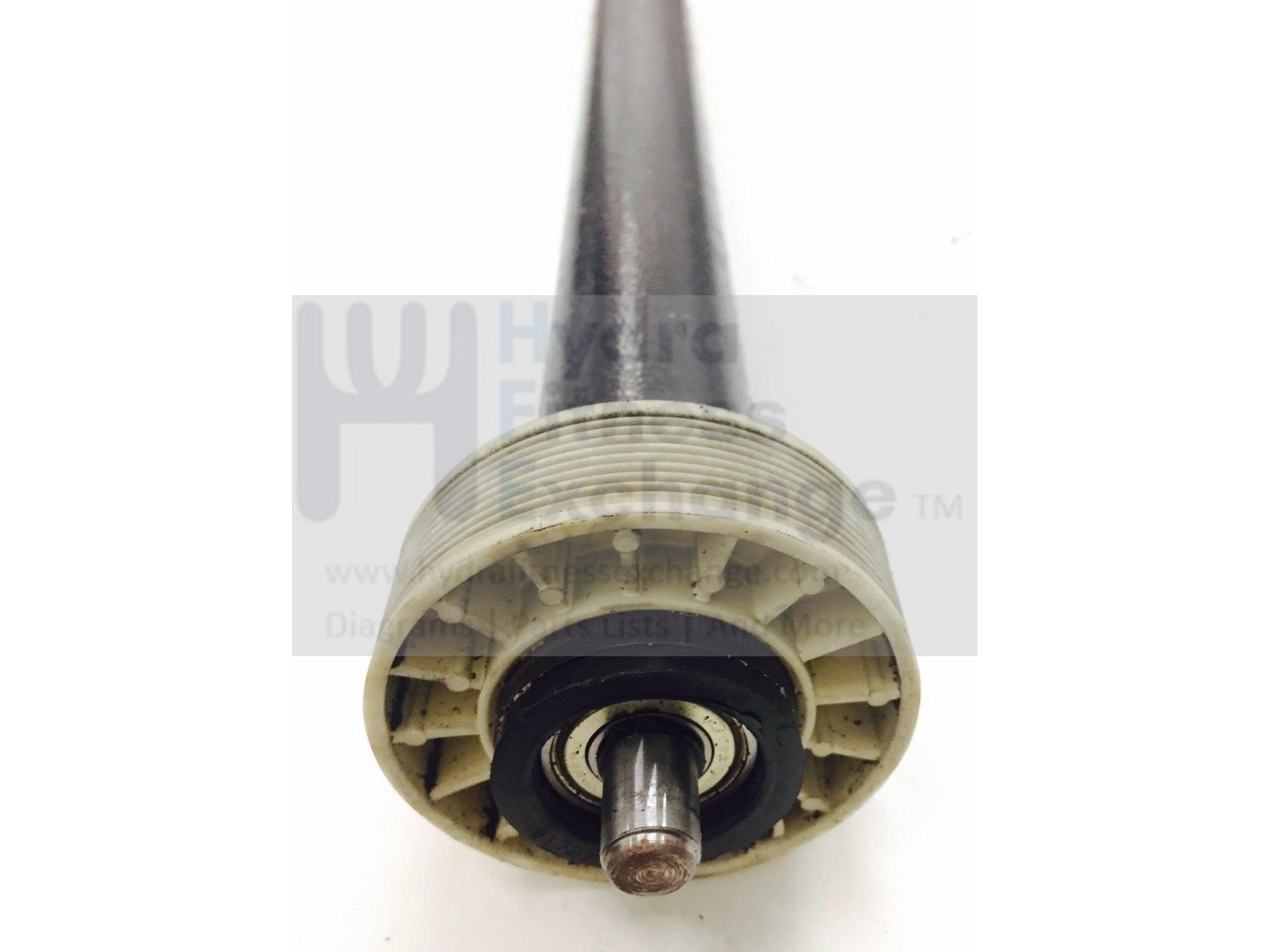 Treadmill Drive Belt 306894 - Replacement Part For NordicTrack, ProForm, GoldsGym Treadmill Models