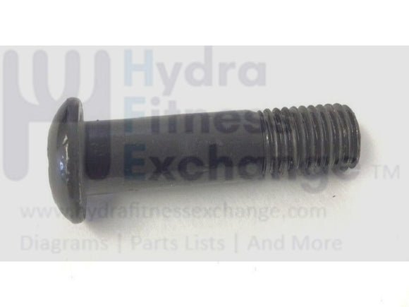 Nordictrack Epic Freemotion Gold's Gym Icon Treadmill Screw Bolt 5/16