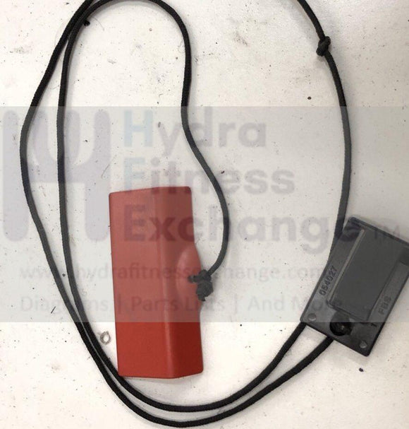 Nordictrack Freemotion Reebok Gold's Gym Treadmill Safety key Magnetic-hydrafitnessparts