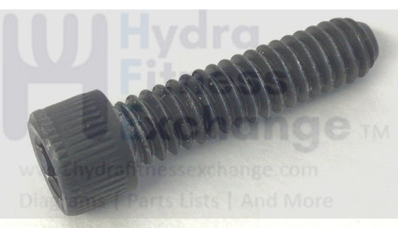 PaceMaster SX Pro Treadmill Socket Cap Screw 1 - 4 - 20 X 1