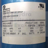PaceMaster Treadmill Grey DC Drive Motor 7.5” Diameter Flywheel Pro Plus Select FGP1228 PWM3636-5250-hydrafitnessparts