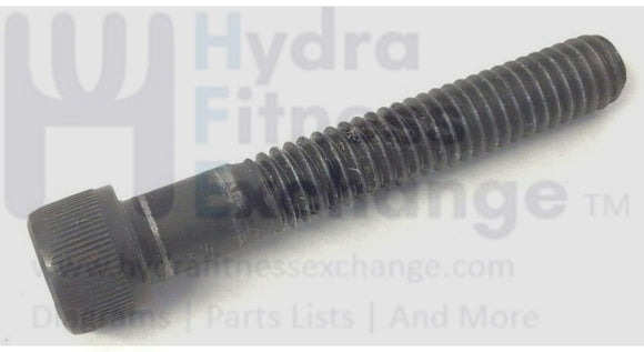 Pacemaster Pro Plus Treadmill Motor Front Bolt 1/4