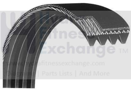 Precor EFX 546 C524 C534 Elliptical Crosstrainer d&d Smaller Drive Belt 10217-121-hydrafitnessparts