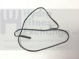 Precor Elliptical RPM Speed Sensor Reed Switch 2Terminal Wire PPP000000059196101-hydrafitnessparts