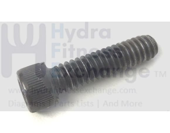 Precor Treadmill End Cap Fastener Screw 1/4