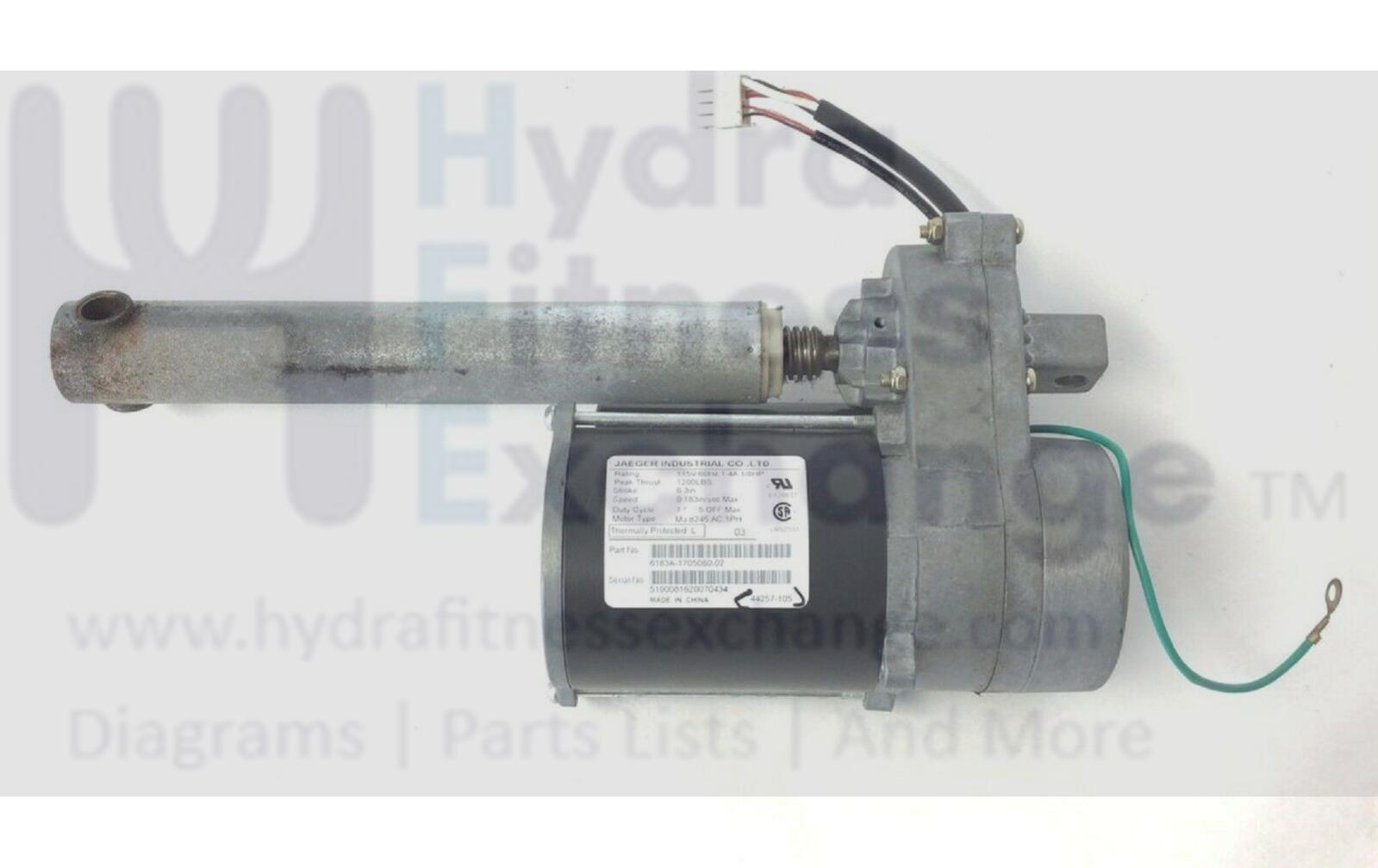 Cinghia Di Trasmissione Motore Per Tapis Roulant FreeMotion / ICON Health & Fitness - Codice 275108