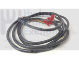 Proform Gold's Gym HealthRider Lifestyler Treadmill Main Wire Harness 189987-hydrafitnessparts