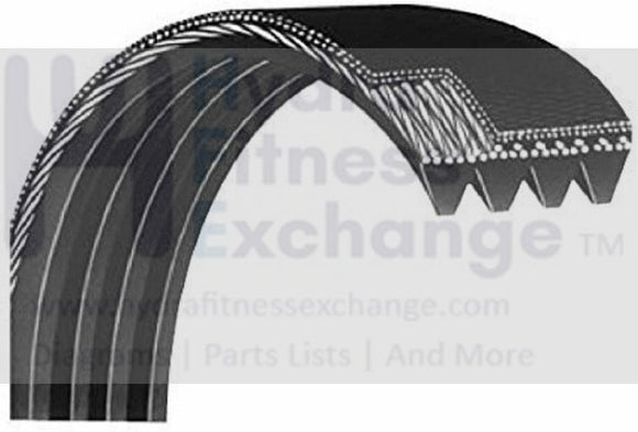 Smooth Fitness 9.65cl Treadmill Main Motor Drive Belt-hydrafitnessparts