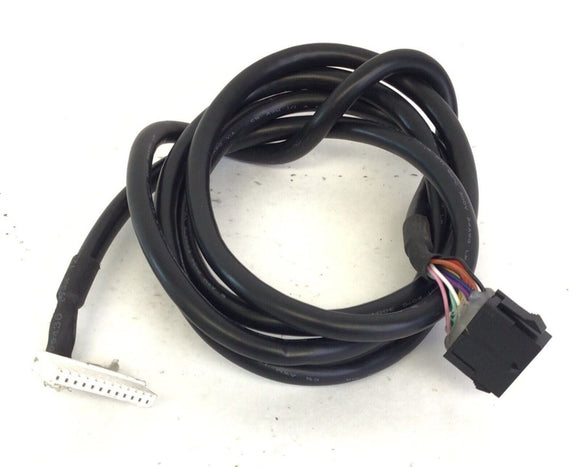 Spirit Fitness XT185 - 185812 Treadmill Lower Wire Harness E020004-hydrafitnessparts