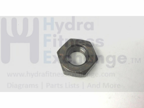 SportsArt 803P Elliptical Flywheel Hex Nut-hydrafitnessparts