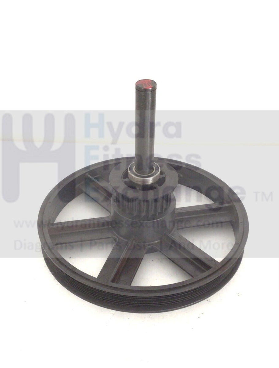 StairMaster Stepper Step Flywheel Belt Pulley Assembly SM24000 ...