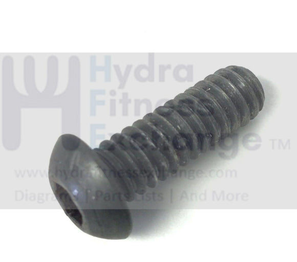 Startrac TR4000 9-4011 Treadmill Button Head Screw 1/4-20X0.70