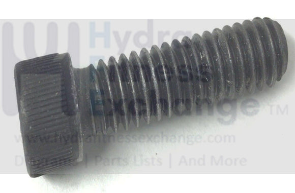 True Fitness 500 Treadmill Incline Motor Socket Cap Screw 1/4