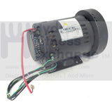 True Fitness CS800 Treadmill Drive Motor W/Flywheel KSP082 or XM-269 or 9CT8001-hydrafitnessparts