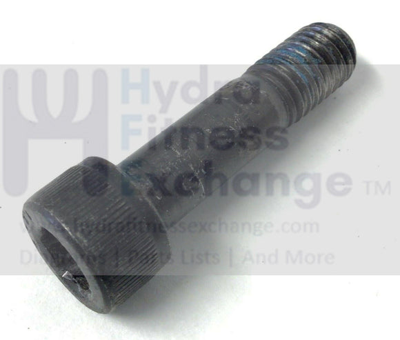 True Fitness FT200LE Treadmill Incline Motor Socket Cap Screw M10-1.5x2