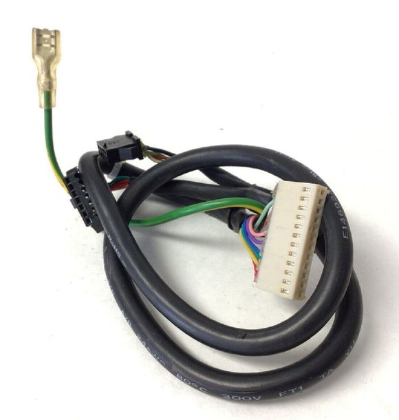 True Fitness RCS800 CS800 Recumbent Bike Console Main Wire Harness 90566100-hydrafitnessparts