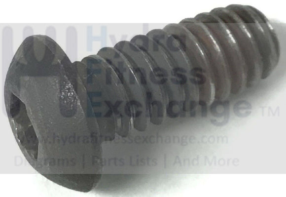 True Fitness Treadmill Console Stand To Frame Mount Screw 1/4