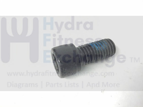 True Fitness XLC900 - 2010 Elliptical Crank Mount Screw M12-1.75 x 1.0