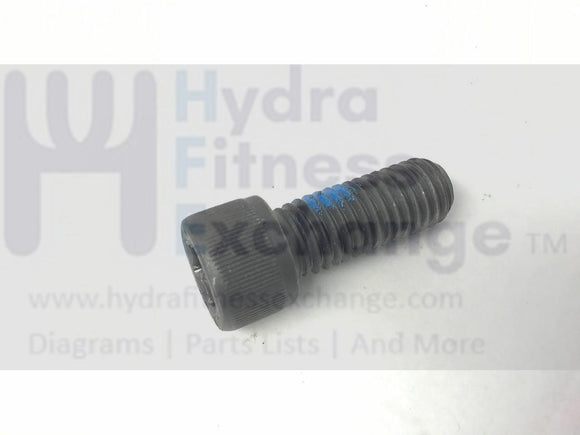 True Fitness XLC900 - 2010 Elliptical Rear Crank Screw M12-1.75 X 1.2