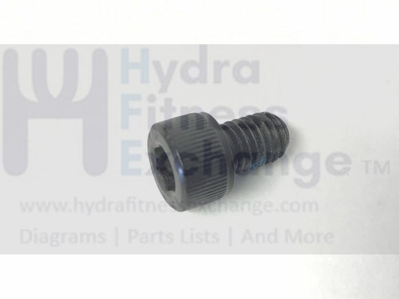 True Fitness XLC900 Elliptical Display Console Upright Screw M8-1.25 X 0.50