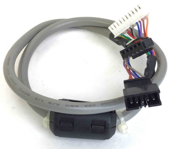 True Fitness Z5R - TRZ50001 Recumbent Bike Upper Console Wire Harness 9BZ5R059-hydrafitnessparts