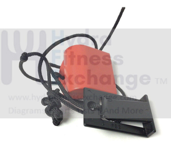 Used Nordictrack Epic HealthRider Image Treadmill Magnetic Safety Key Lanyard 268449-hydrafitnessparts