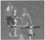 Weider FLEX 110 - E1102 Strength System Owner Manual WTNN-5944-hydrafitnessparts