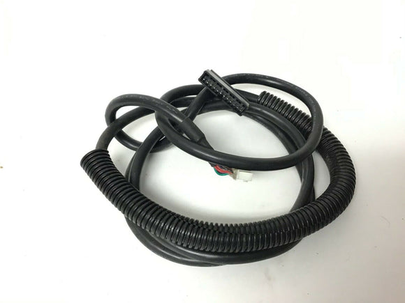 AFG Horizon Fitness Treadmill Console Wire Harness 062625-A - fitnesspartsrepair