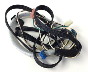 Bodyguard Club Stepper Step Wire Harness Set with Ribbon Cable C-005163b - hydrafitnessparts