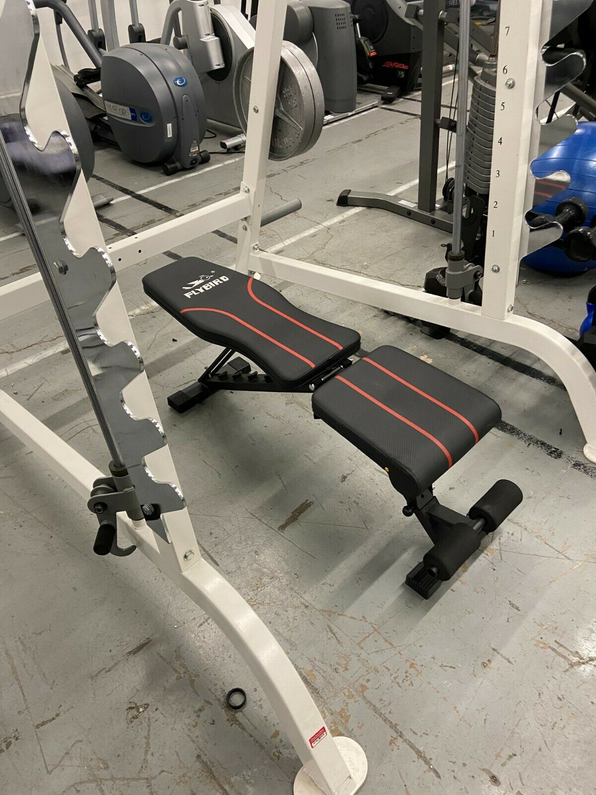 FlyBird - Adjustable Workout Bench 
