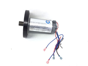 Icon Millan Dog -CMTL597120 Treadmill DC Drive Motor With Flywheel 405592 - hydrafitnessparts