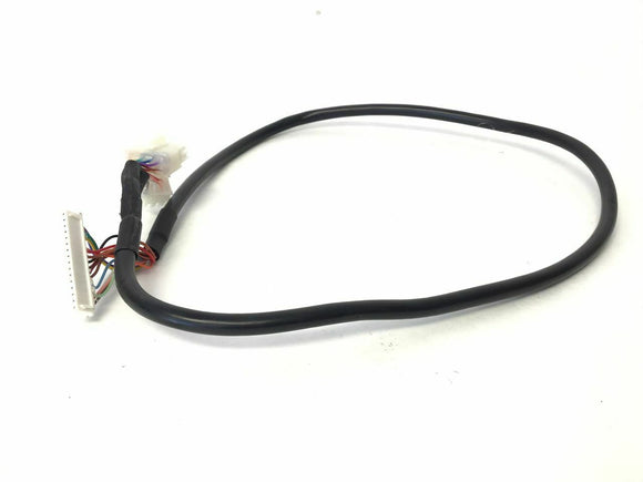 Life Fitness F1 (FTR) Treadmill Upright Console Cable Wire Harness 8874701 - fitnesspartsrepair