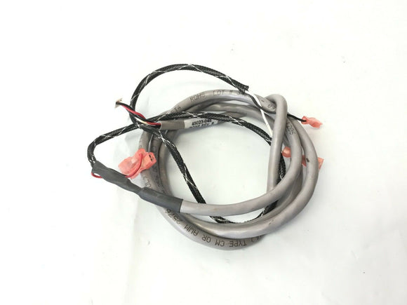 Life Fitness LC-5500R (S/N 450960-Up) Recumbent Bike Wire Harness - fitnesspartsrepair