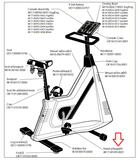 Life Fitness Lifecycle Upright Bike Right Pedal with Strap AK17-00189-0001 - fitnesspartsrepair