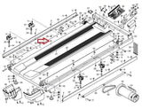 Nordictrack Proform FreeMotion Treadmill Walking Running Belt Treadbelt 352010 - hydrafitnessparts