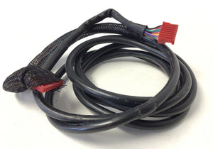 Proform Gold's Gym Weslo 395 397 415 LT 14.2t Treadmill Main Wire Harness 316548 - hydrafitnessparts